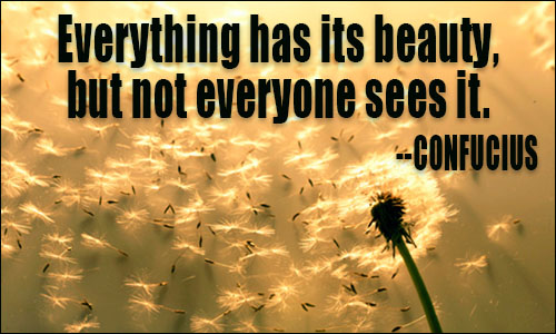 everything has its beauty but not everyone sees it - Quotes About Beauty