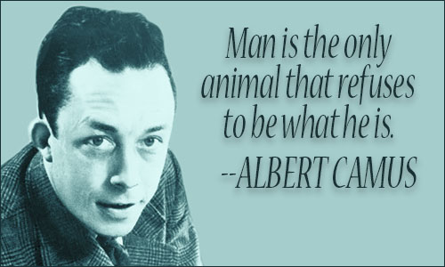 Image result for Exile and the Kingdom albert camus quote