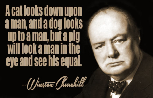 Winston Churchill Quotes II