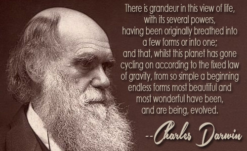 charles_darwin_quote_2.jpg