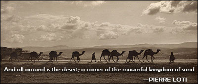 Quotes About The Desert Beauty Quotes About The Desert Beauty