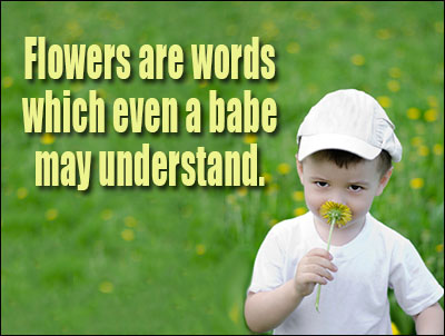 Flower Quotes Beauteous Love Images With Quotes On Flowers Flower Quotes Beauteous Love Images With Quotes On Flowers