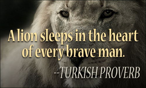 Lions quote