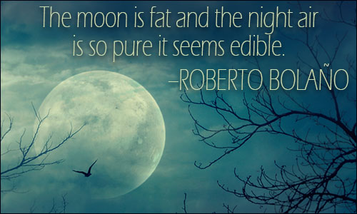 Moon quote
