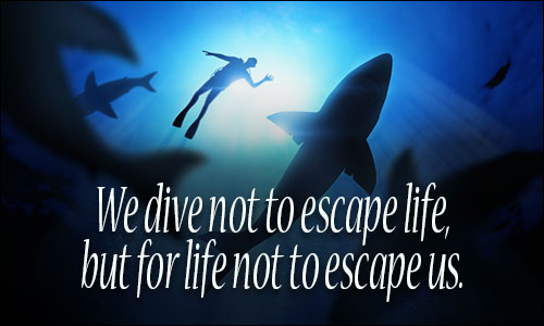 Scuba Diving quote
