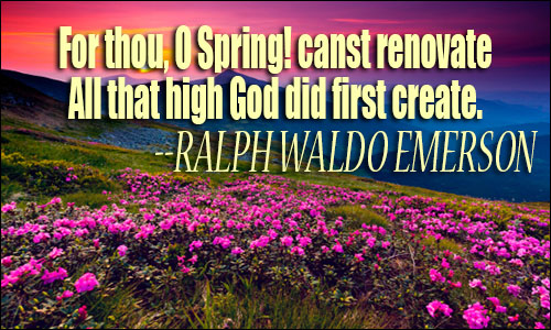 Spring quote