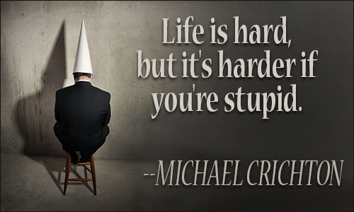 stupidity_quote.jpg