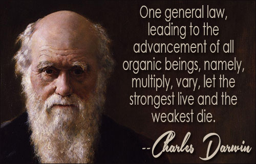 Charles Darwin Quotes